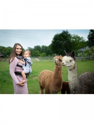 Multi Grow Carrier:...